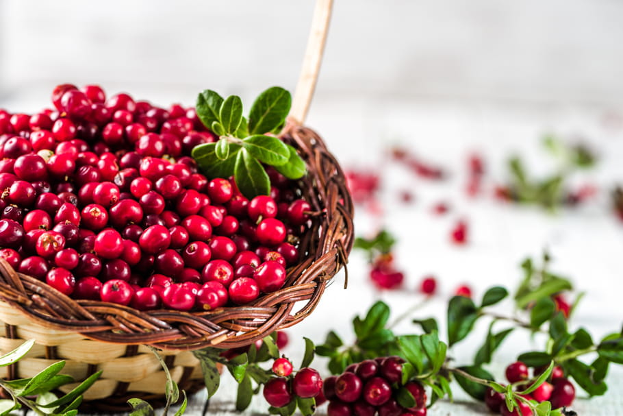 Cranberry (Canneberge)