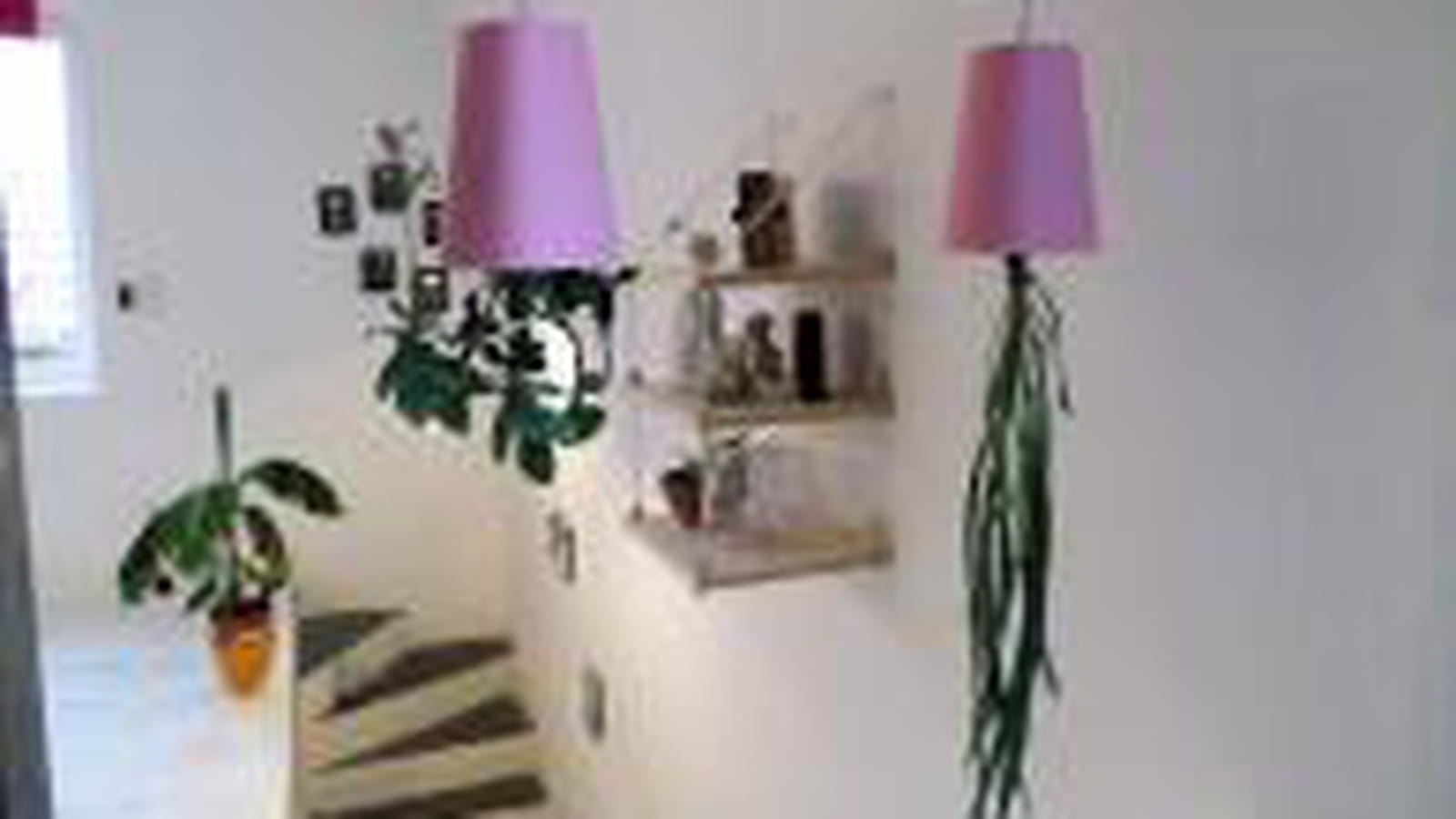 Plantes suspendues