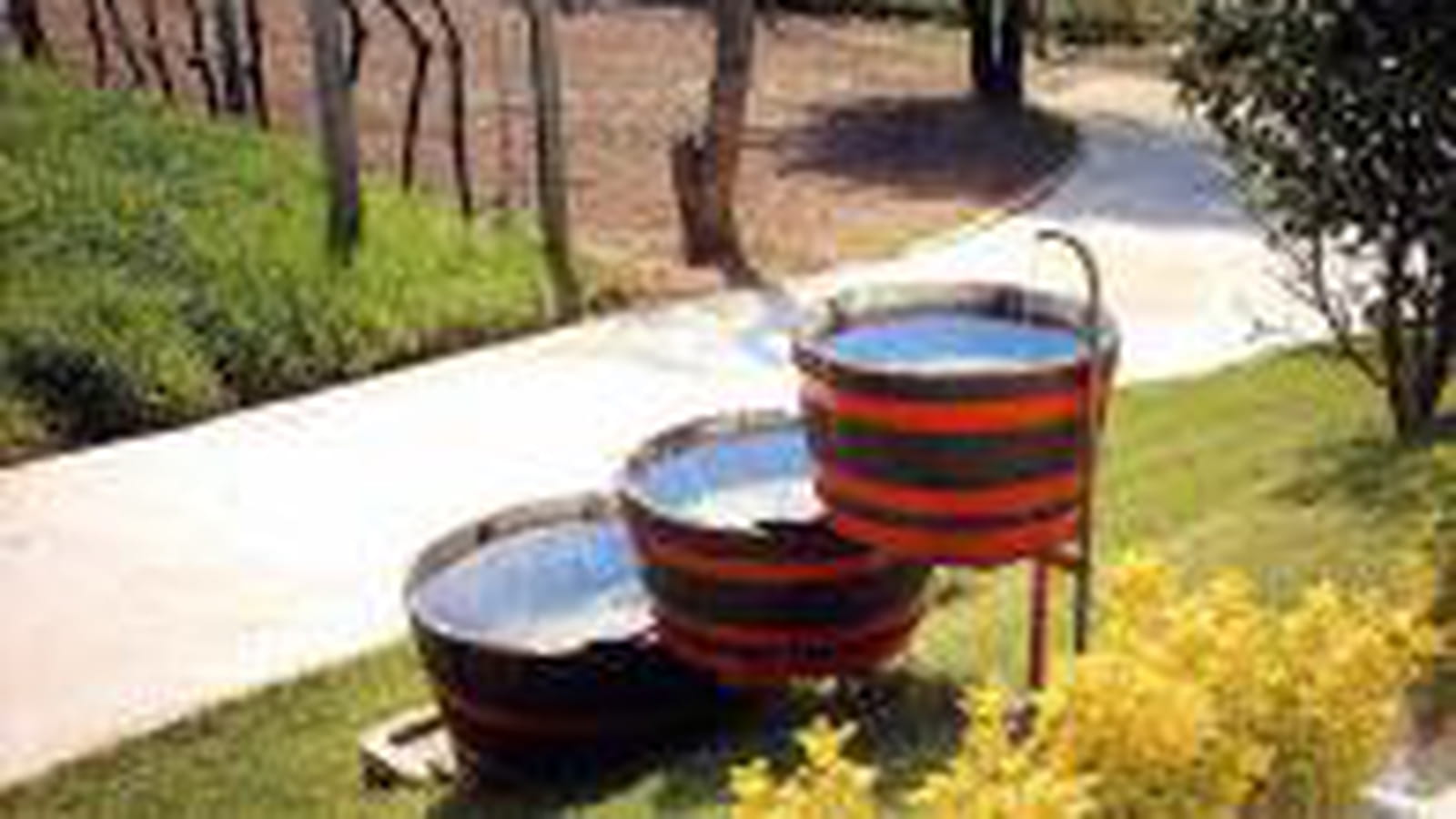 Barriques