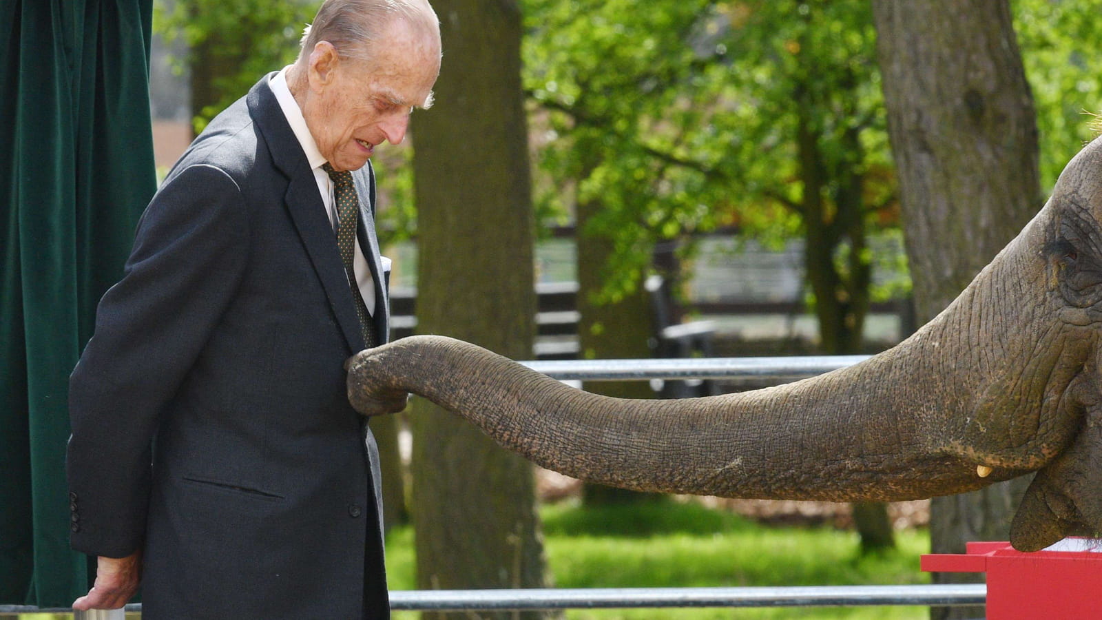 Contrairement à lui, un éléphant ça trompe énormément