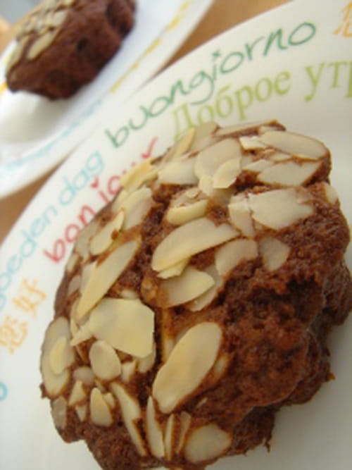 Madeleines moelleuses au chocolat et au miel