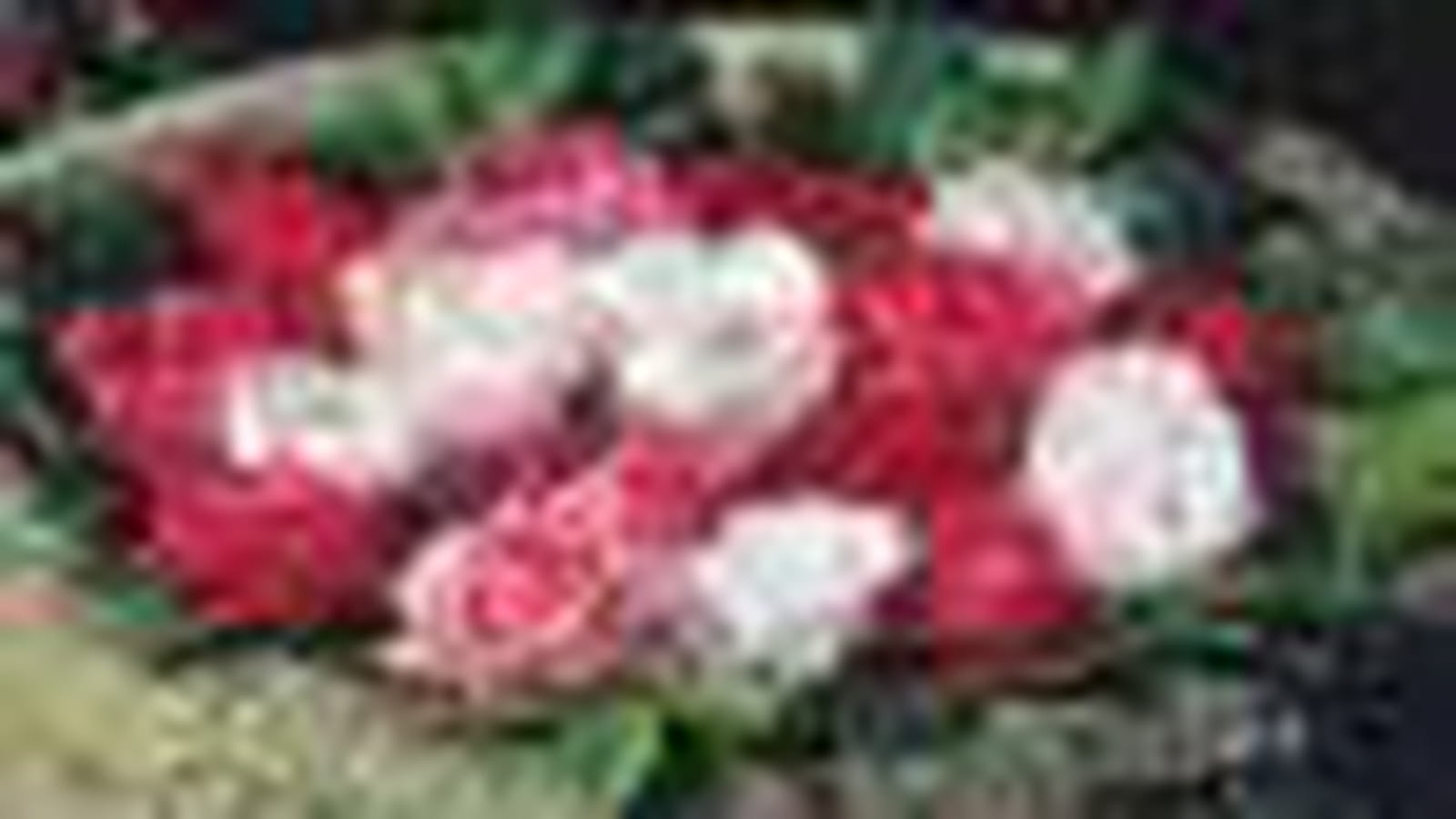 Bouquets