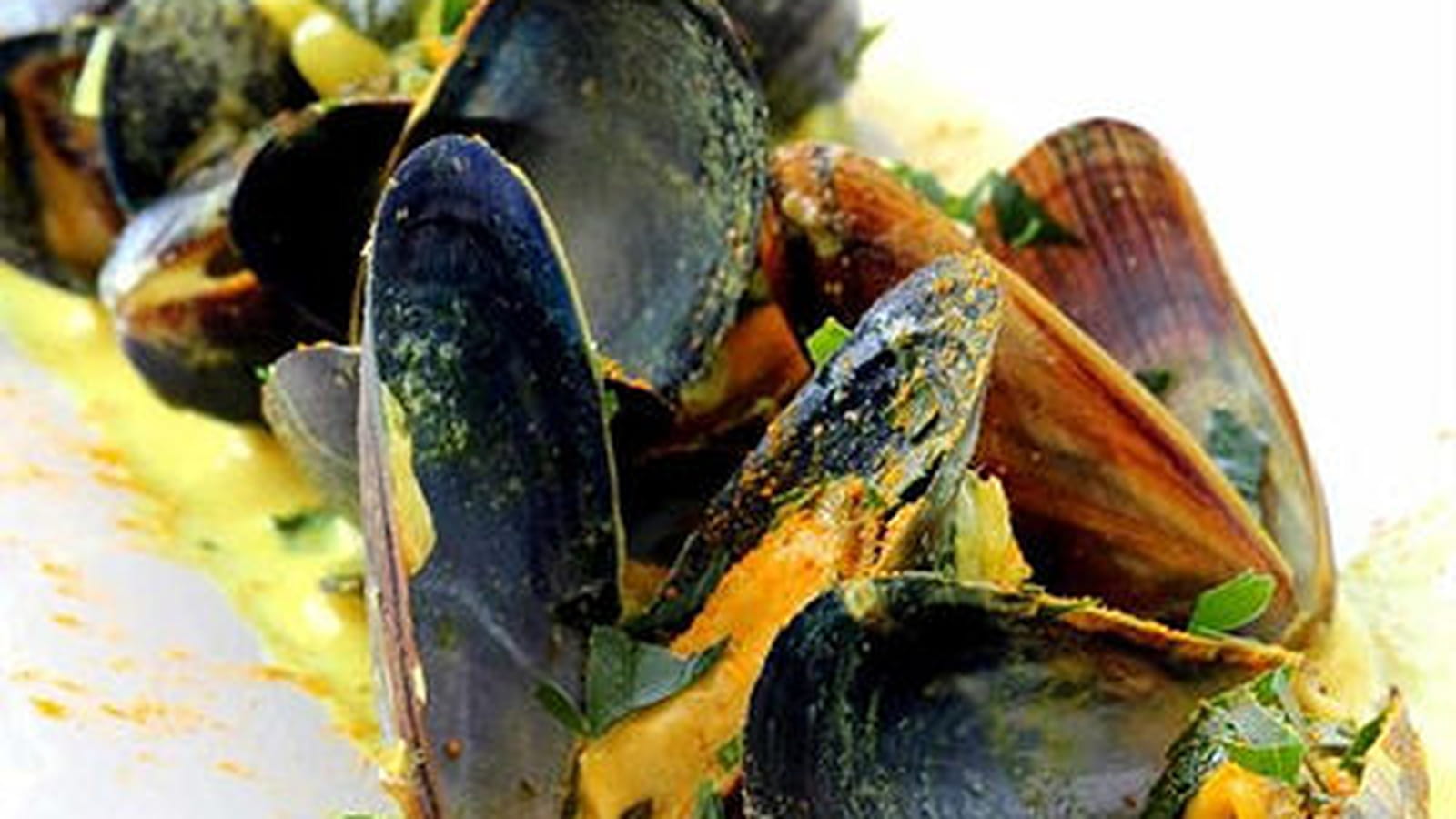 Moules à la crème au curry et à la coriandre