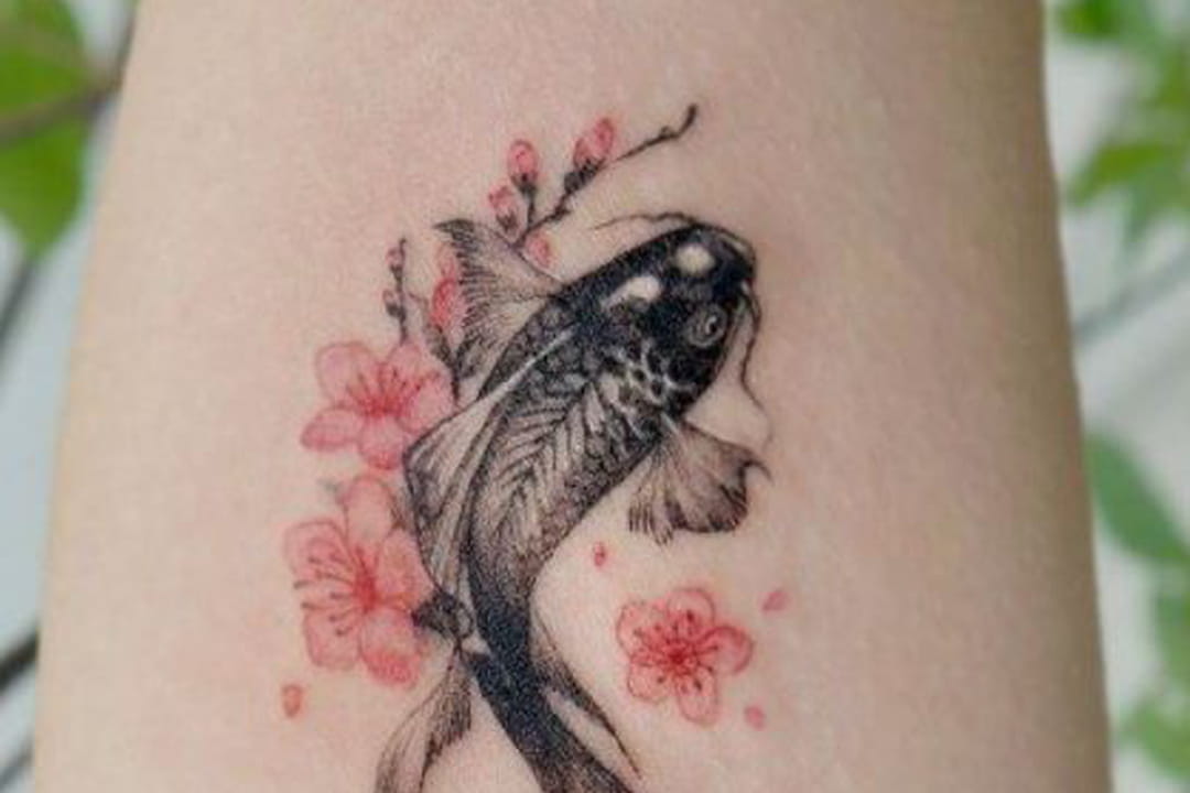 Tatouage Carpe Koi Et Fleur De Cerisier