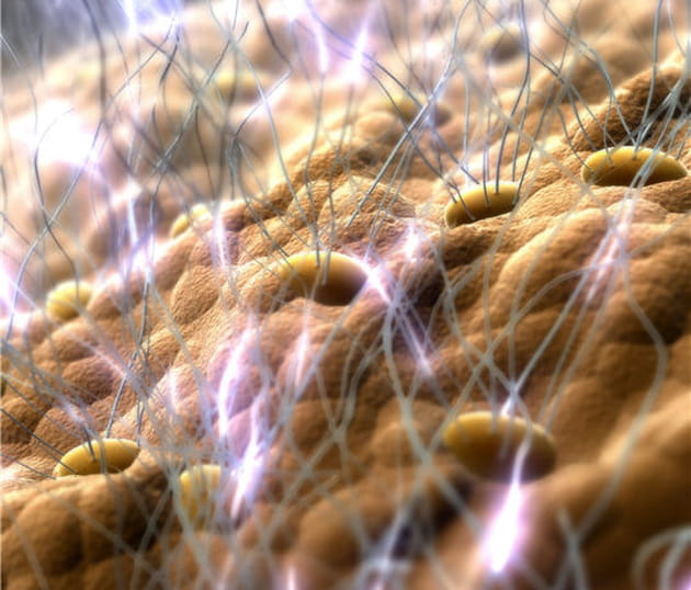 Un corps qui parle pour nous