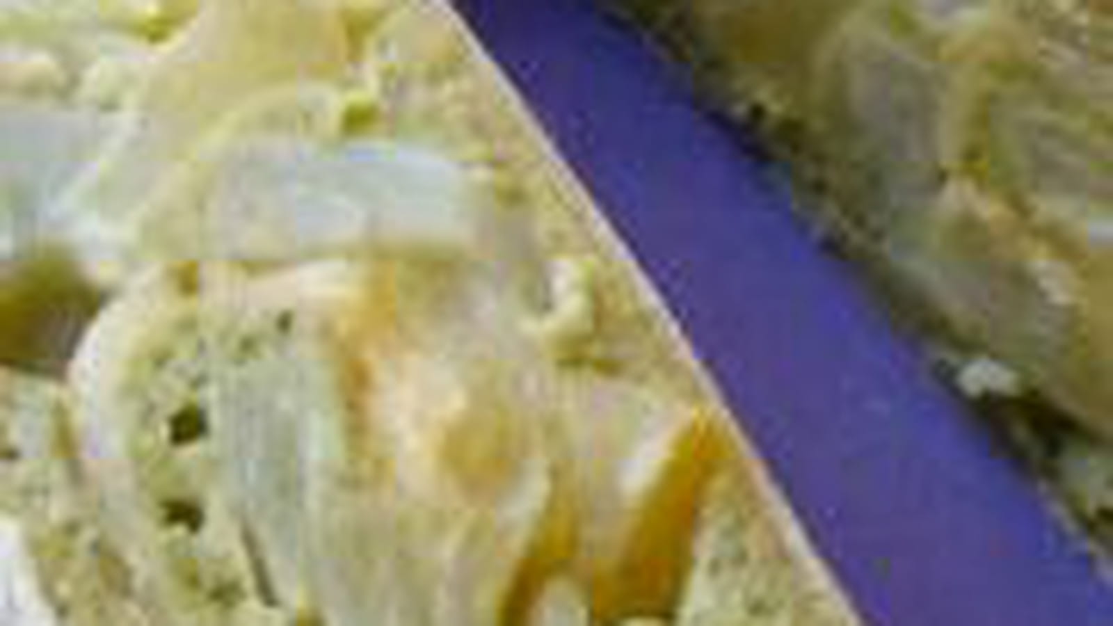Lingot aux pommes et matcha