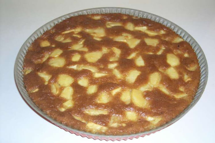 Recette De Gateau Aux Pommes De Ma Grand Mere La Recette Facile