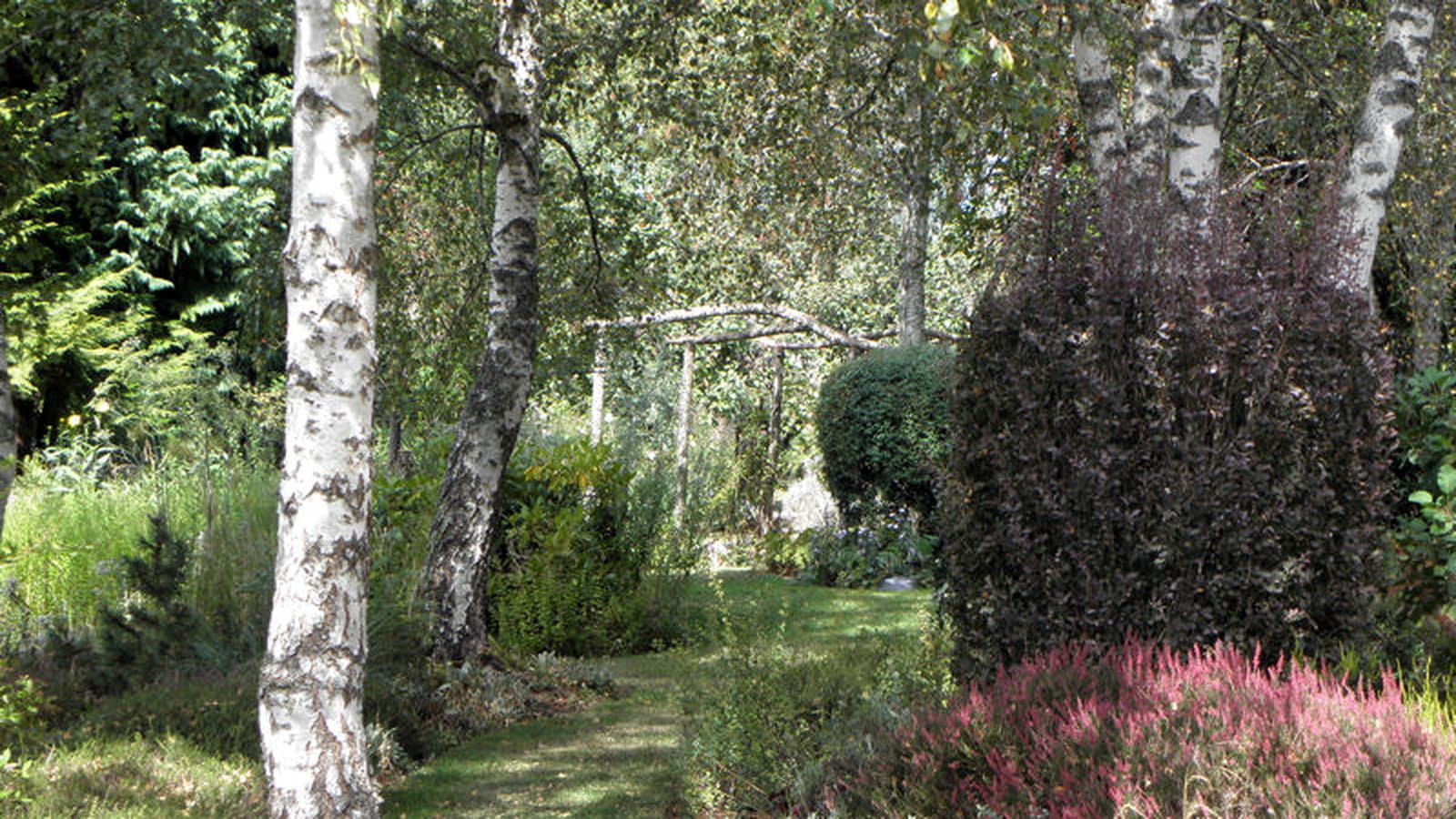 Bruyère