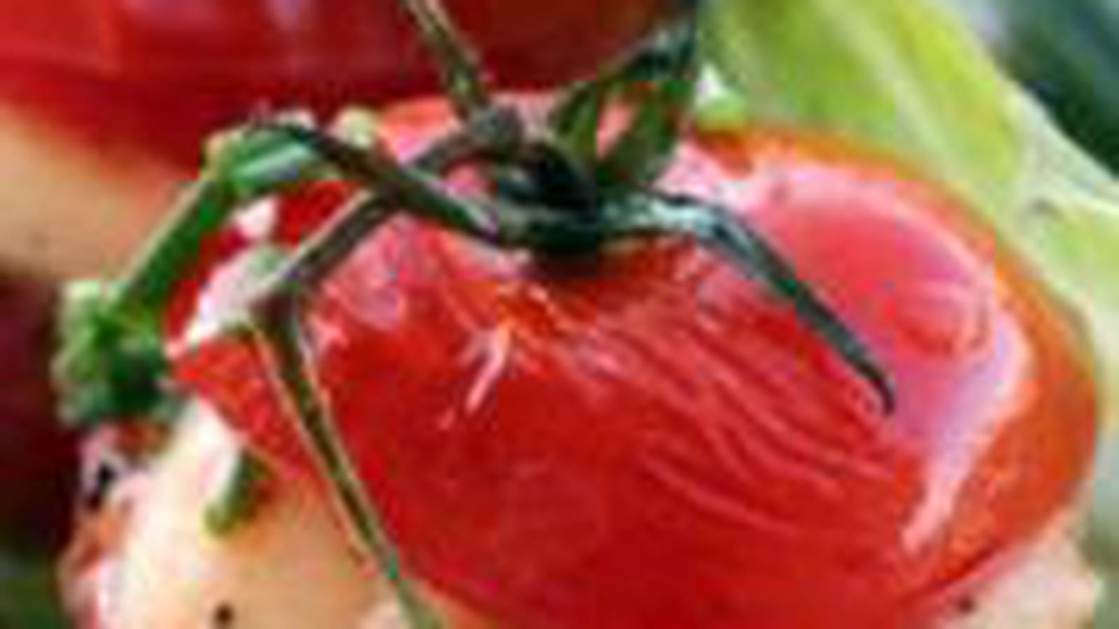 Farcis de tomates grappes