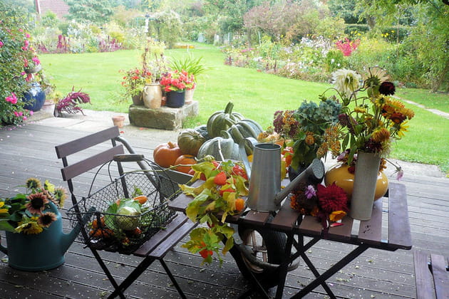 La famille des courges au complet