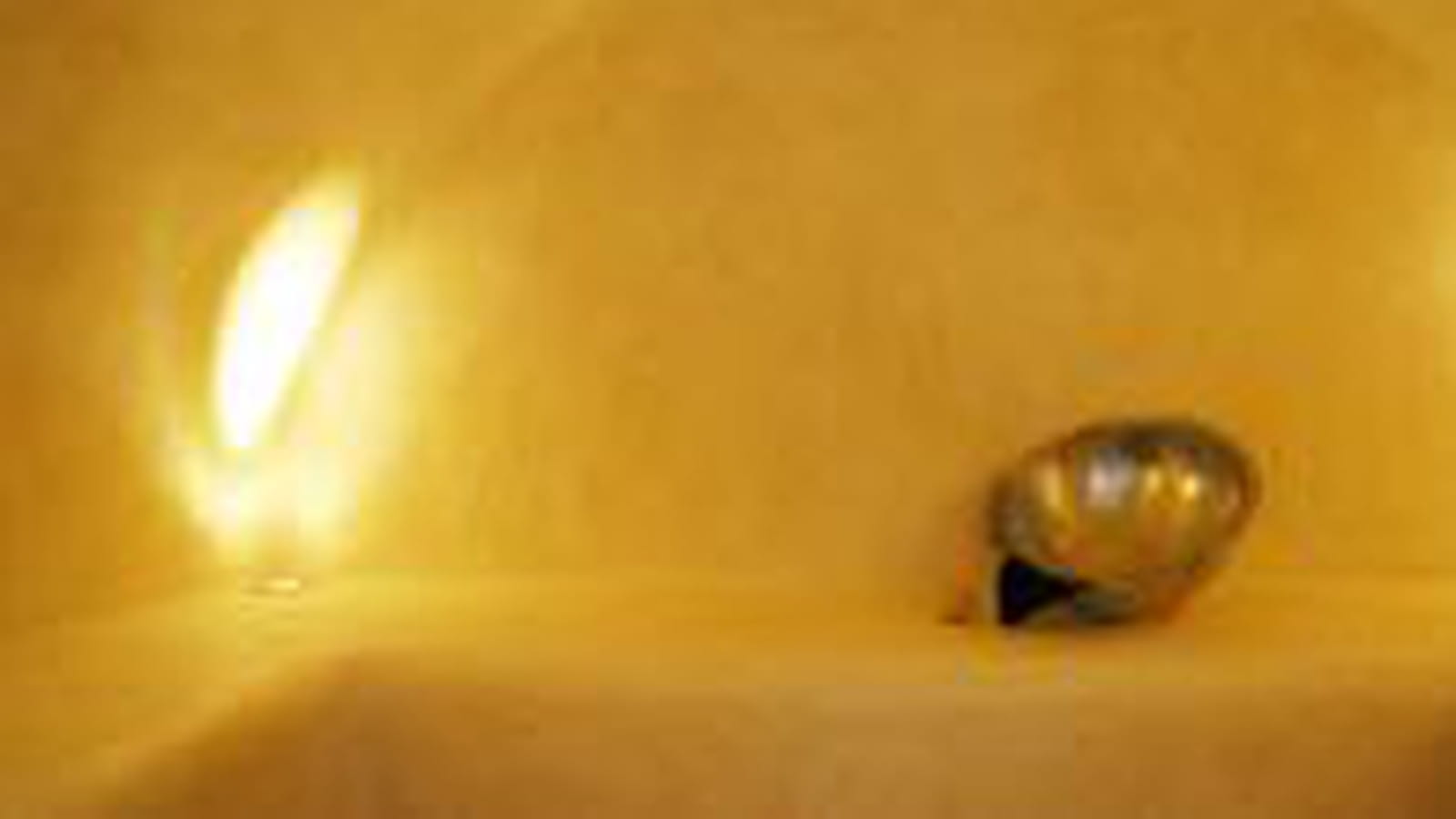 Hammam