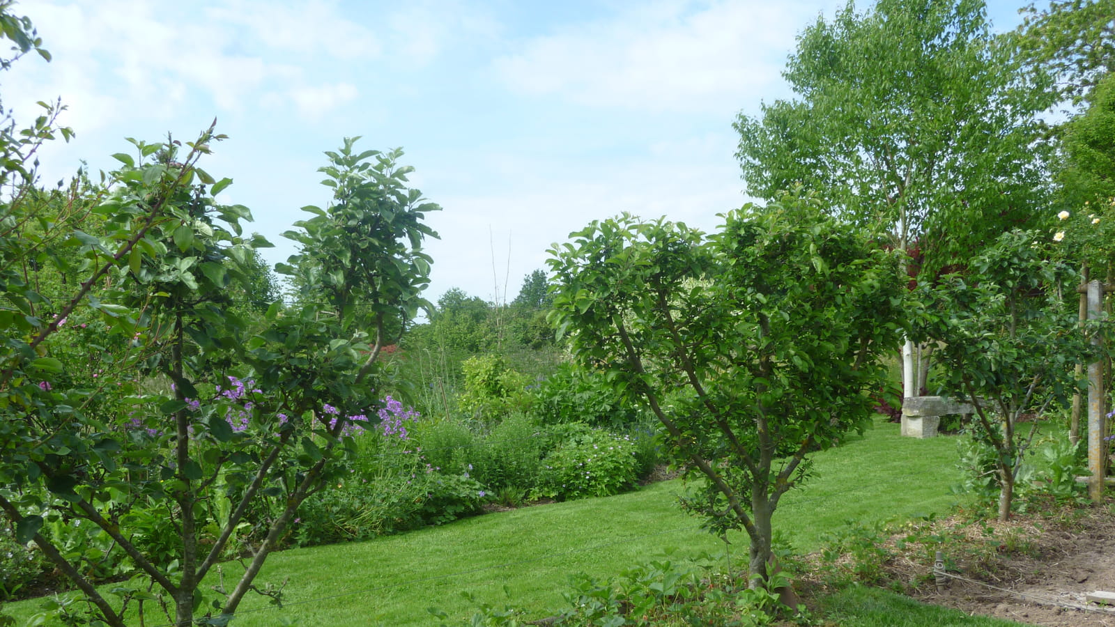 Pommier