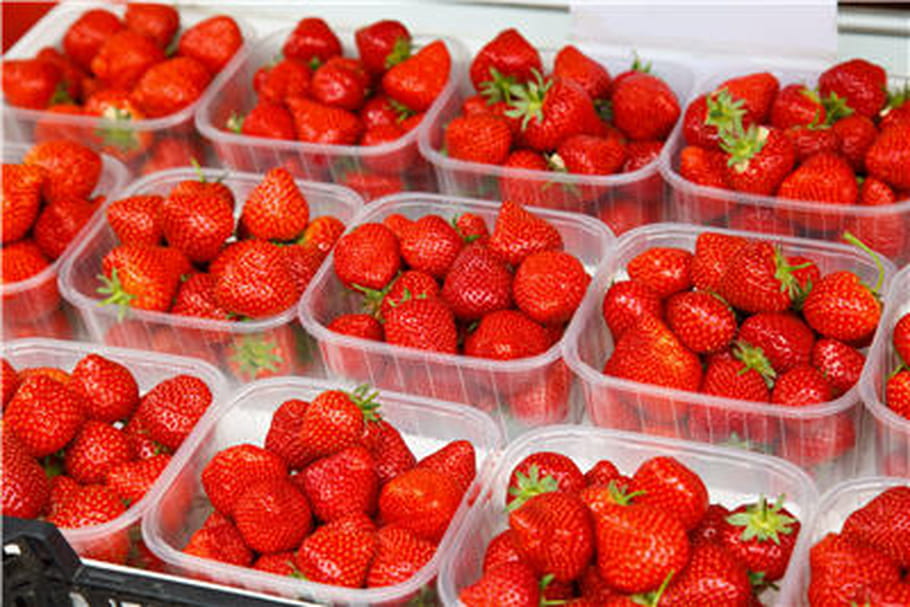 Halte aux pesticides dans les barquettes de fraises