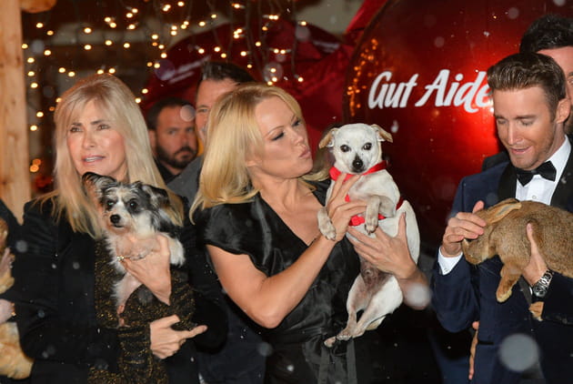 Pamela Anderson, gaga des chiots