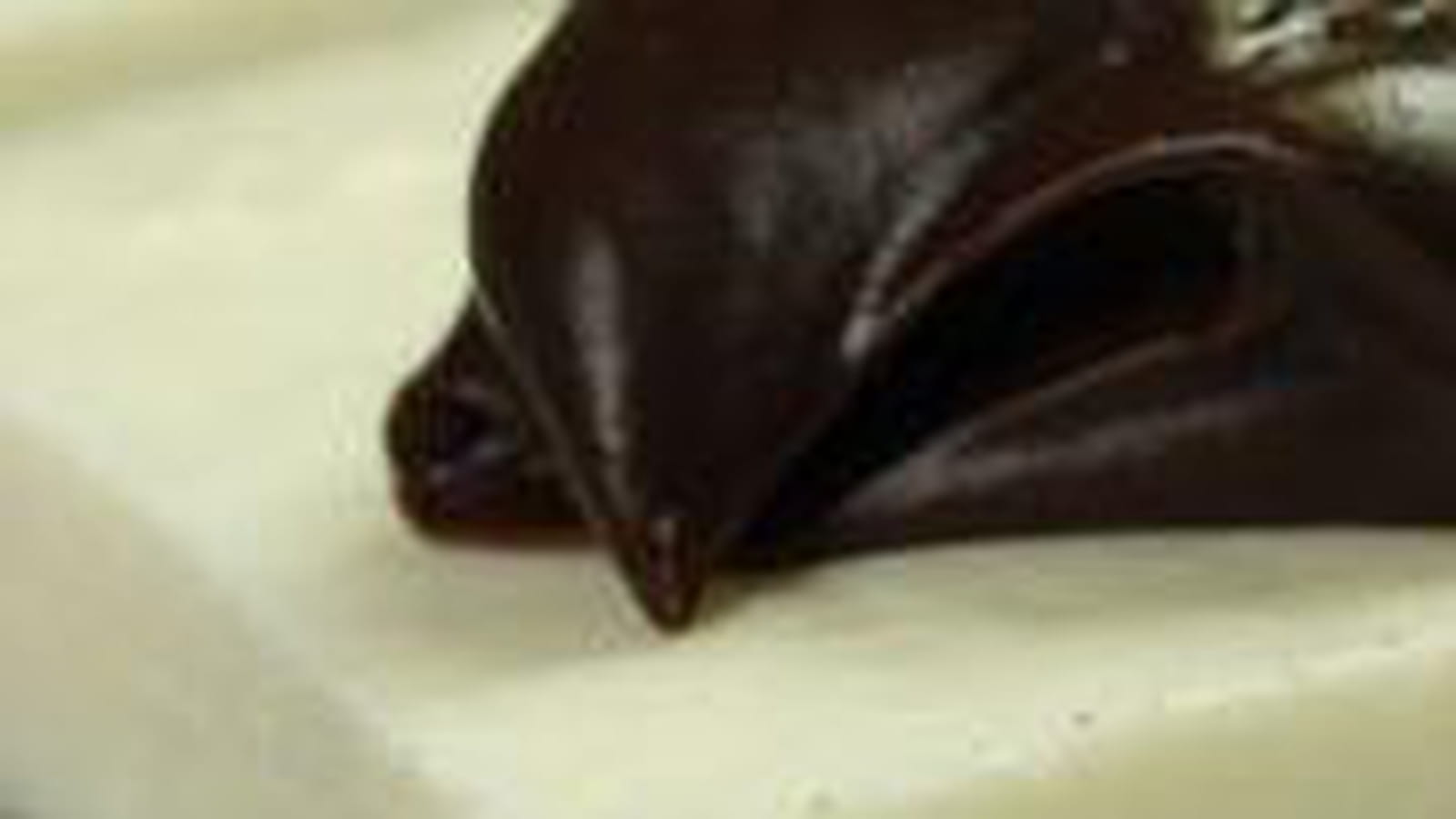 Fondant aux 3 chocolats
