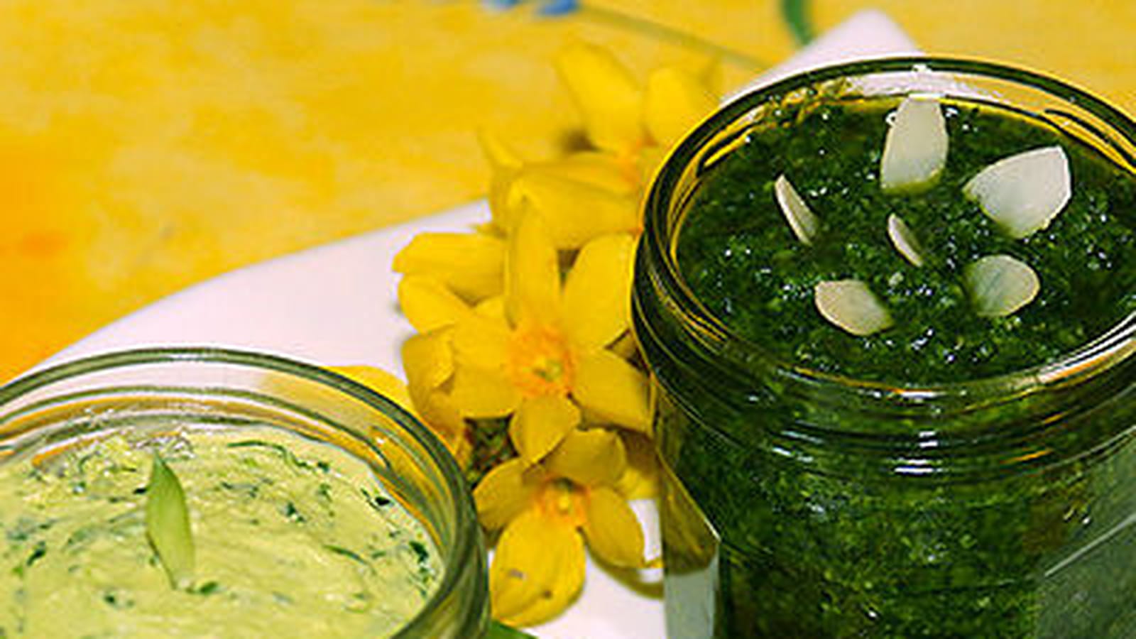 Pesto et beurre à l'ail des ours