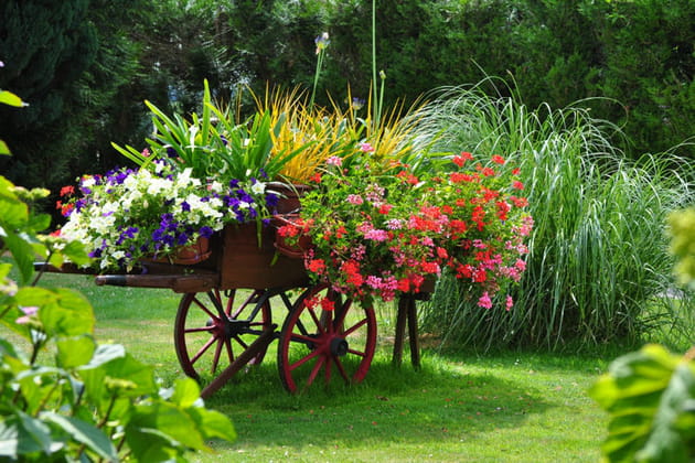 Charrette à bras centenaire
