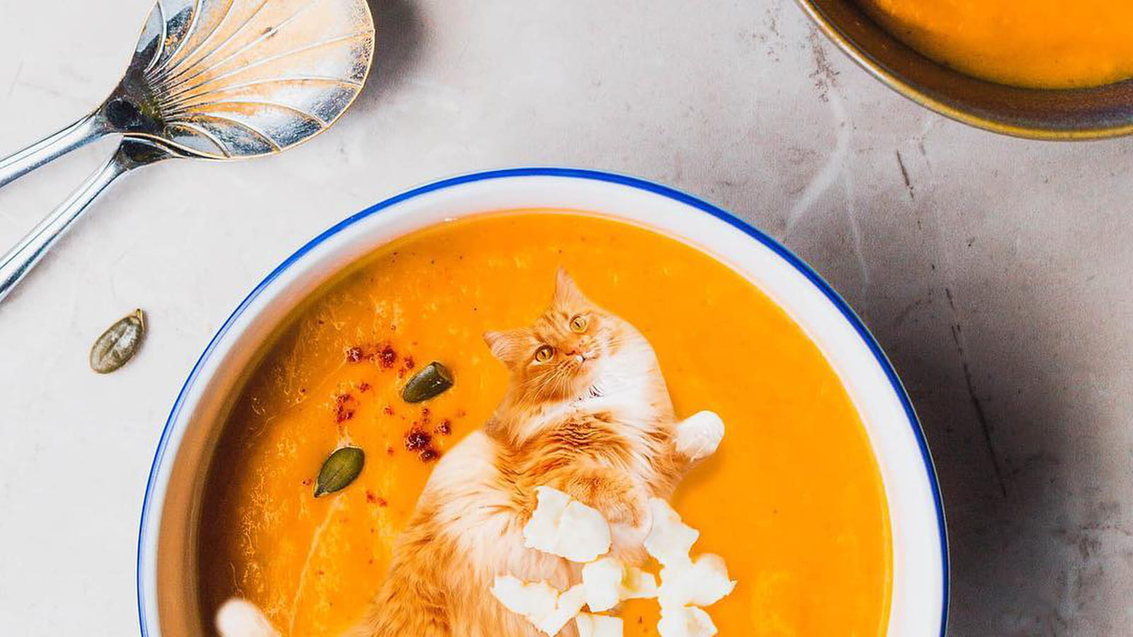 Doux velouté