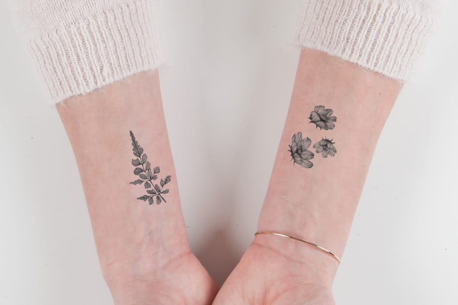 Monocotyl&eacute;done, Bernard Forever