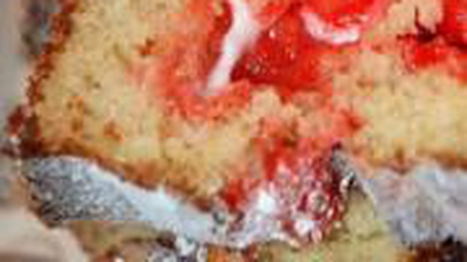 Cake aux fraises Tagada®