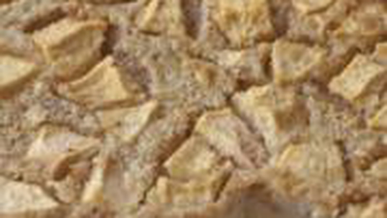 Clafoutis aux pommes et noisettes