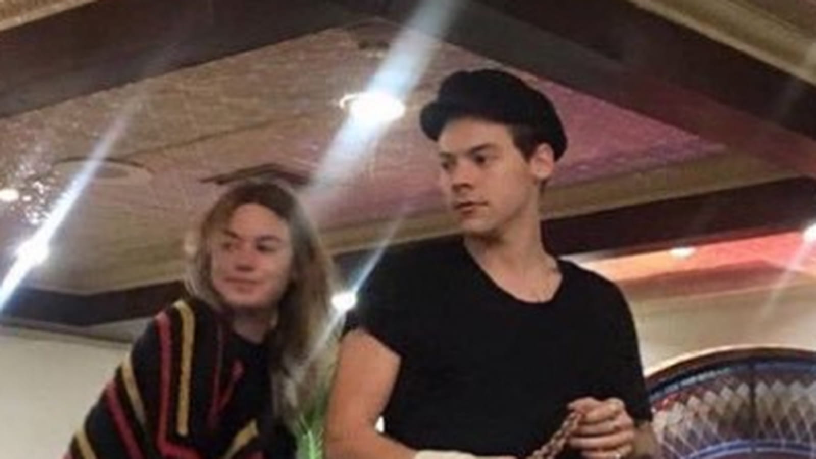 Harry Styles et Camille Rowe