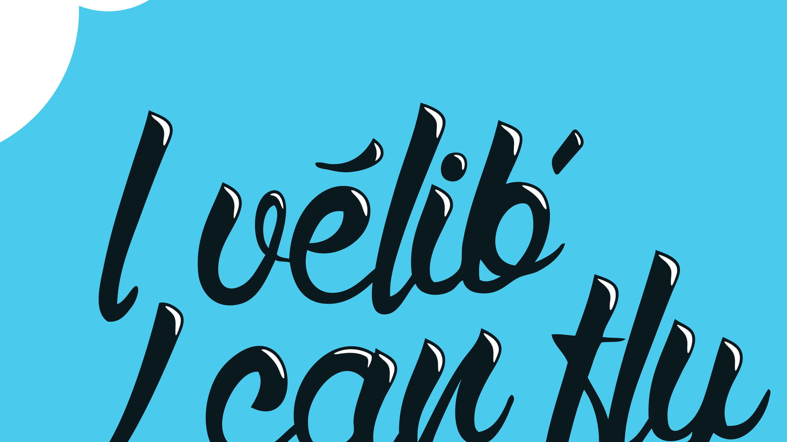 Affiche expo "I Vélib', I can fly"