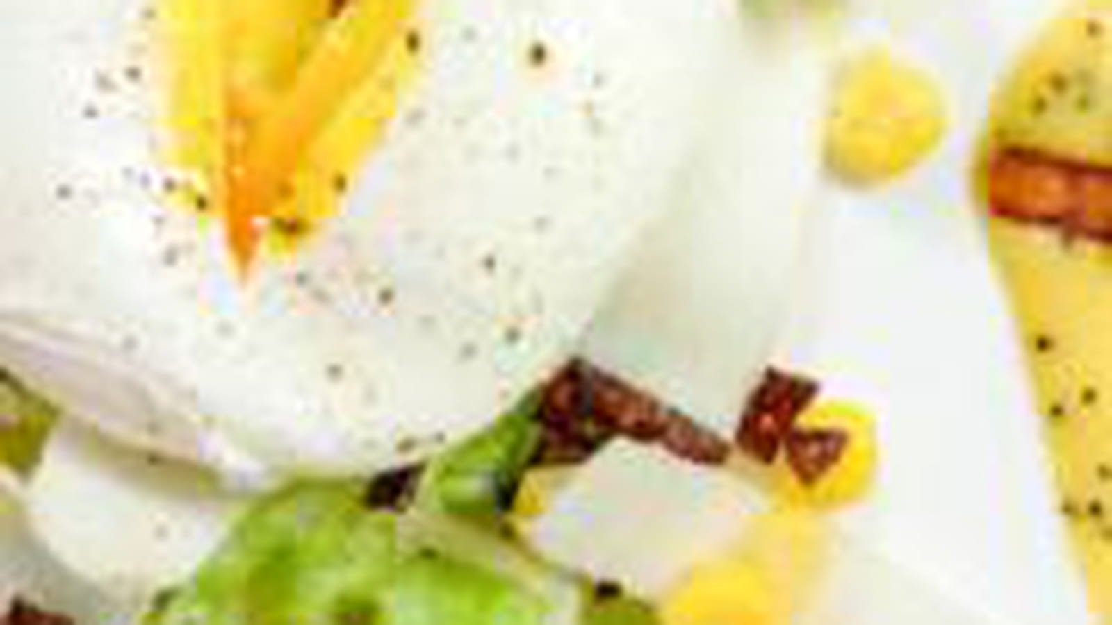 Oeuf poché, endives et dinde