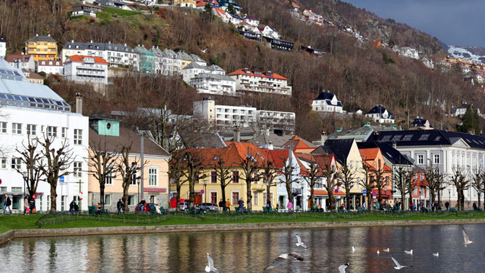 Fontaines à Bergen 