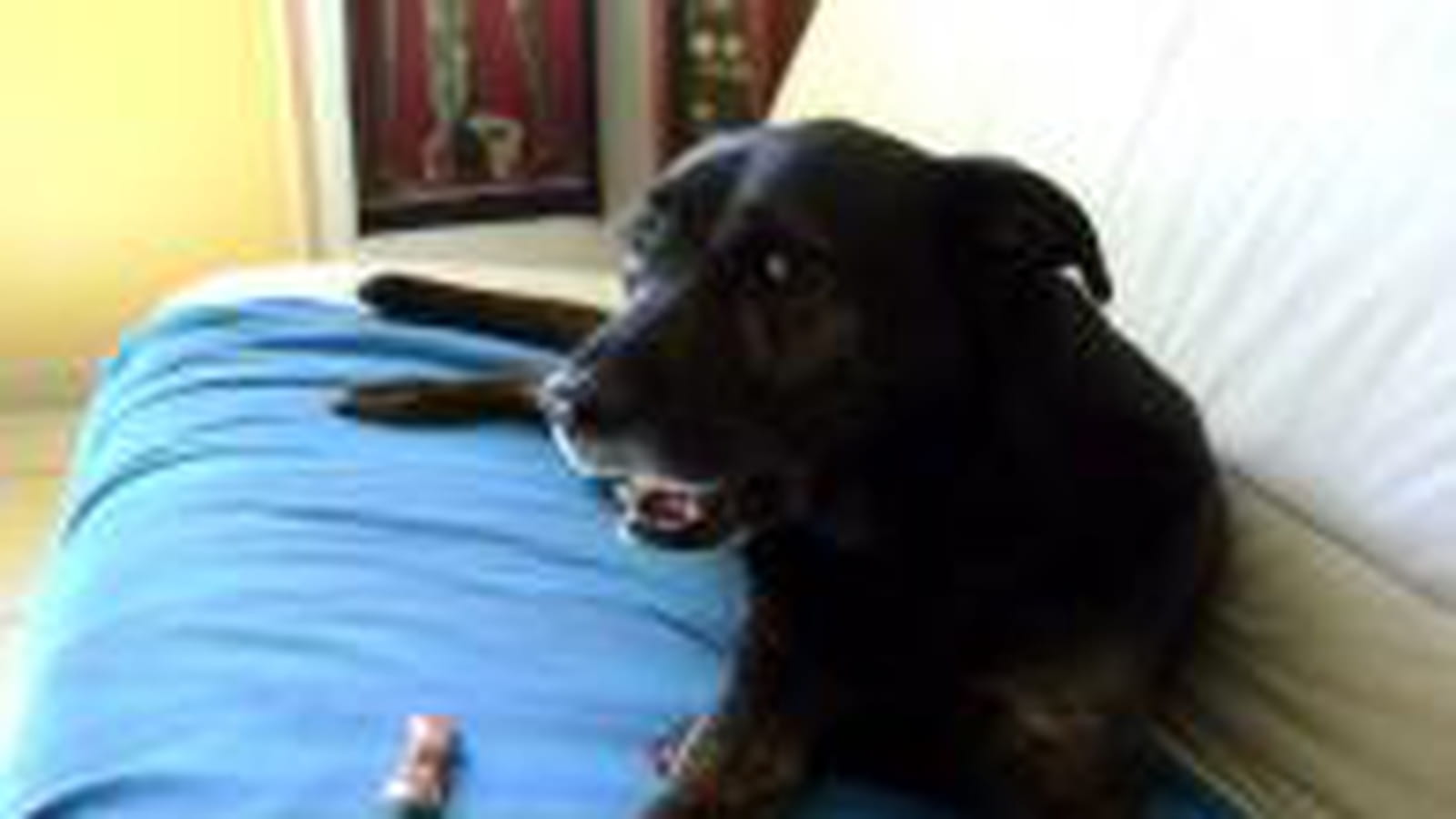 Max