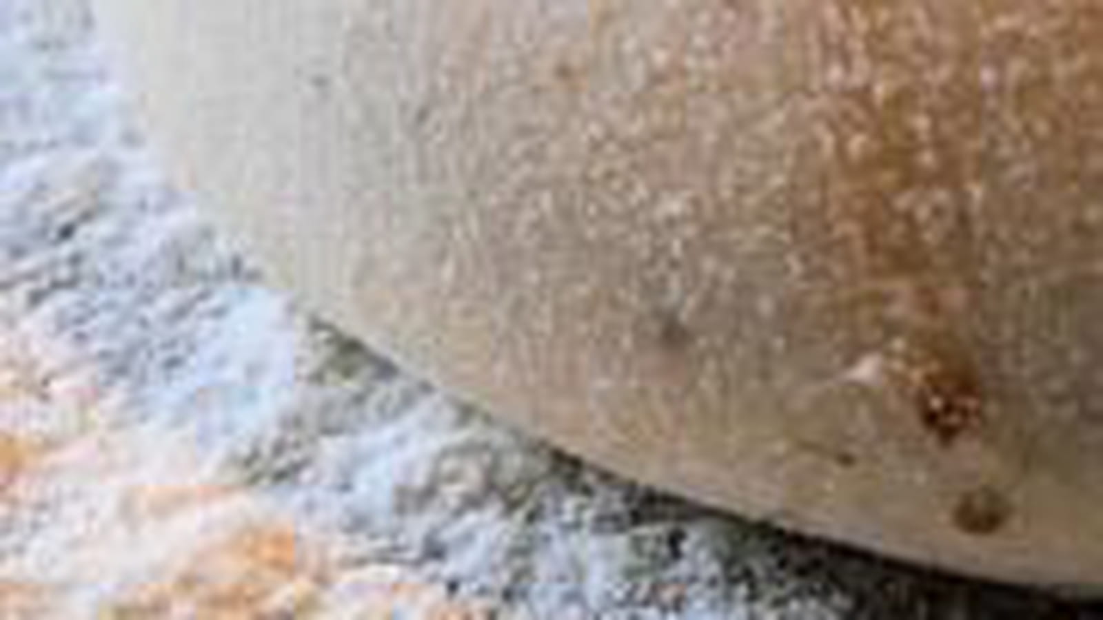 Pâte à pizza à l'origan