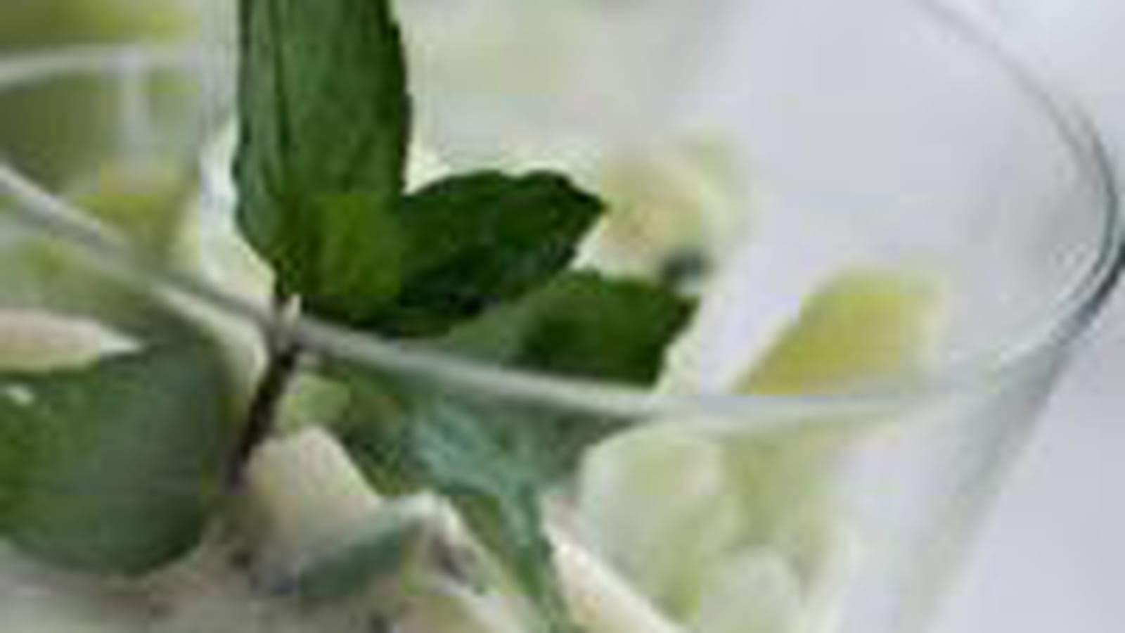 Tzatziki concombre menthe pomme