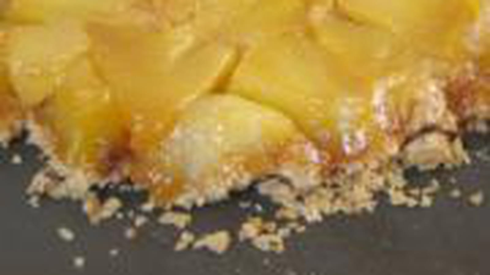 Mini crumbles renversés aux pommes et poires