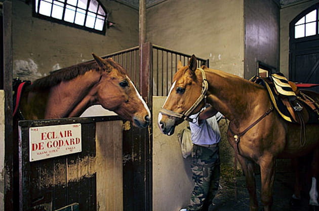 Les &eacute;curies du Quartier des C&eacute;lestins