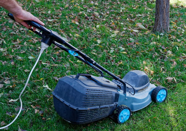 tondeuse