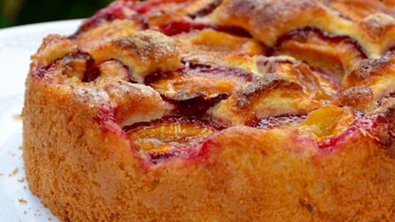 Gâteau brioché aux prunes