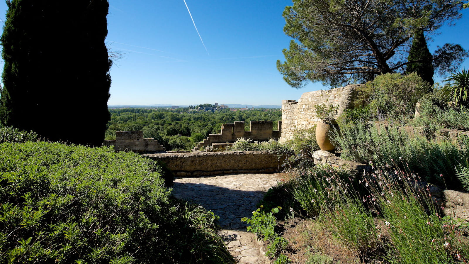 Minéral et végétal