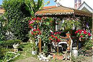 les jardins de lecteurs au printemps 