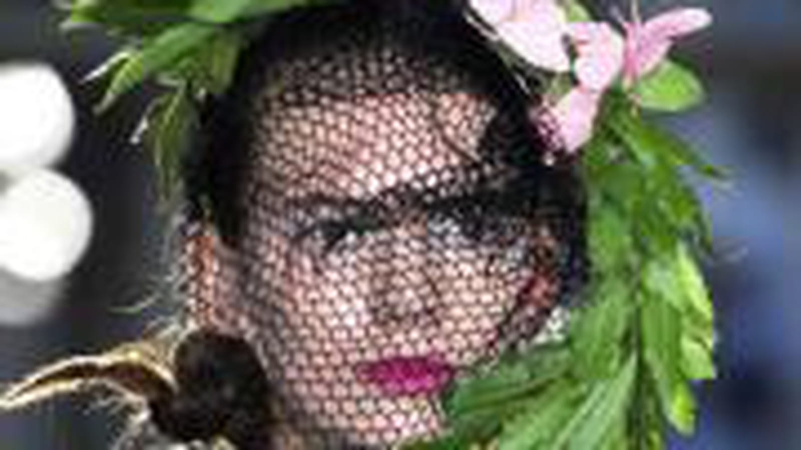 Voilette exotique