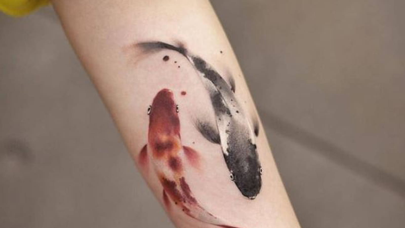 Les poissons