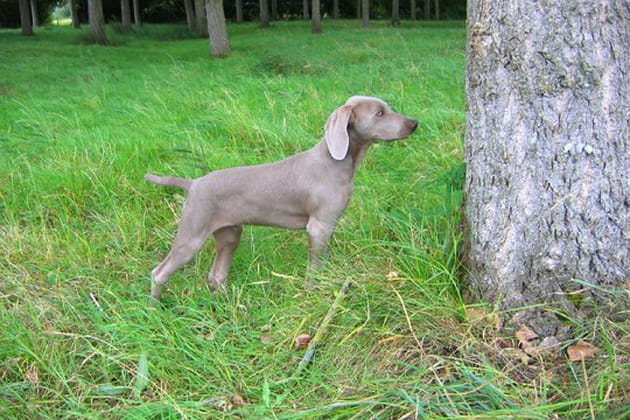 Qu'est-ce qui se passe&nbsp;?