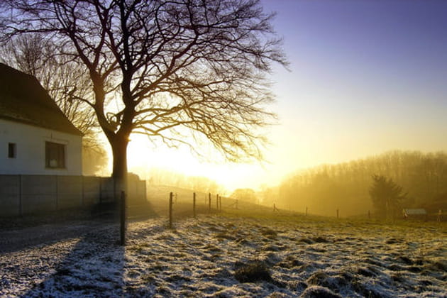 Lumi&egrave;re hivernale