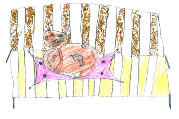 Chat sur canap&eacute; (Alexa, 8&nbsp;ans)