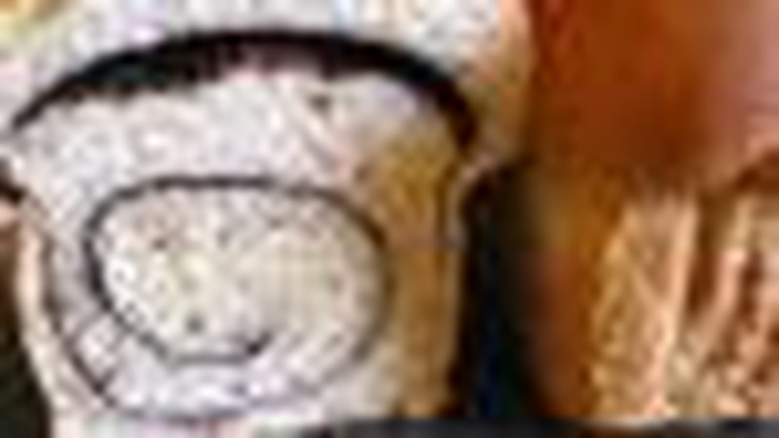 Pain de mie