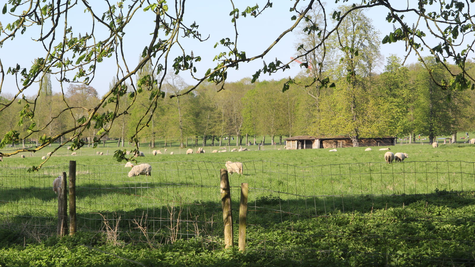 Nature sauvage chez Marie-Antoinette