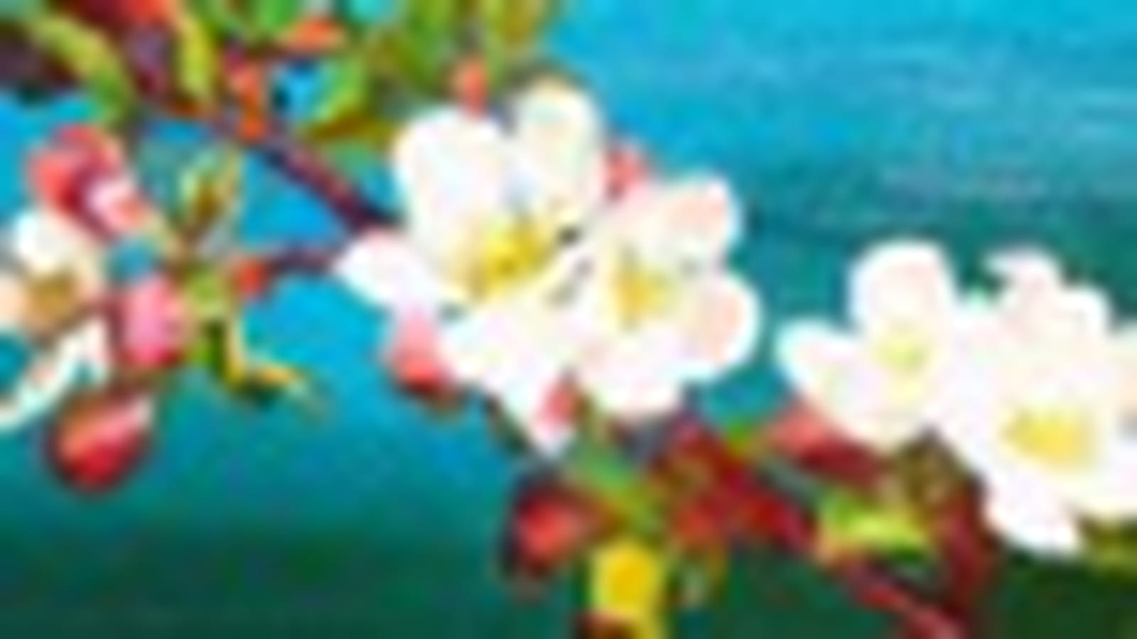 Fleurs de pommier