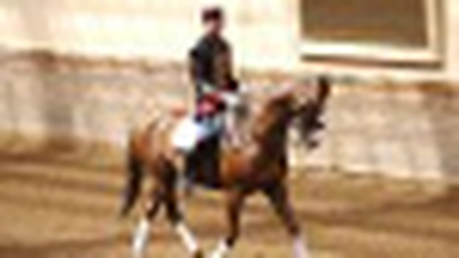 Dressage