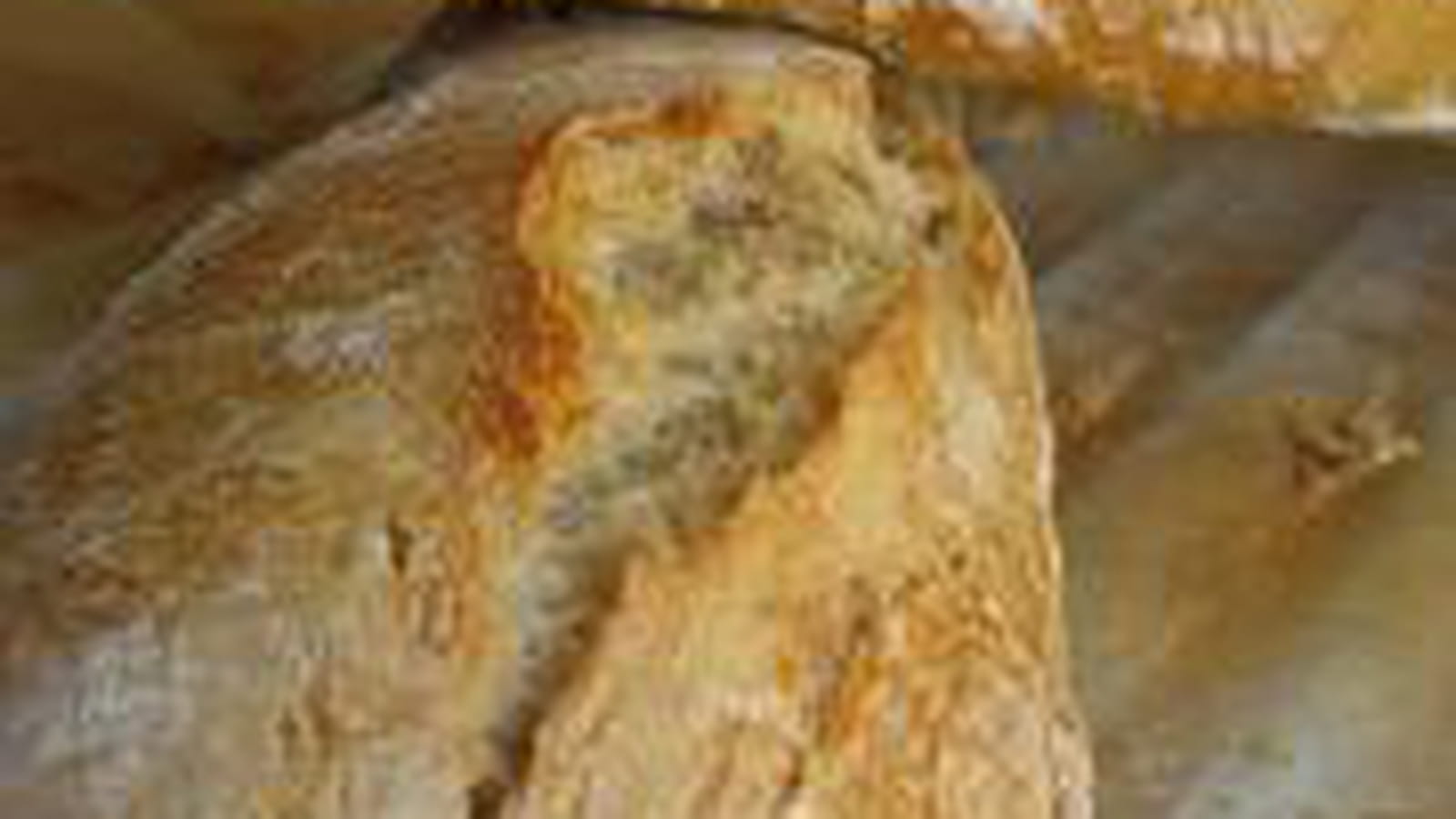 Baguette