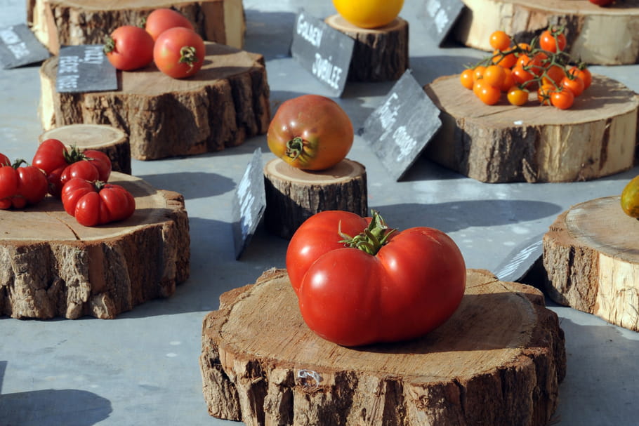 Le Festival de la Tomate vous invite à une pasta party