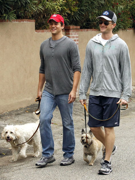 Neil Patrick Harris et David Burtka promènent leurs chiens